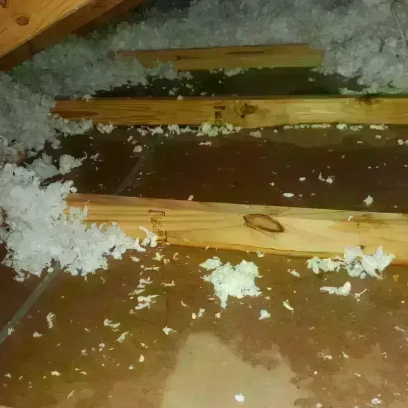 Attic Water Damage in Murfreesboro, NC