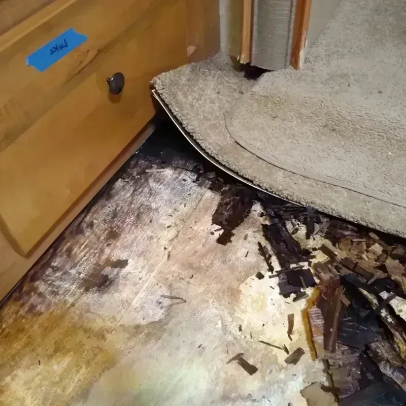 Wood Floor Water Damage in Murfreesboro, NC